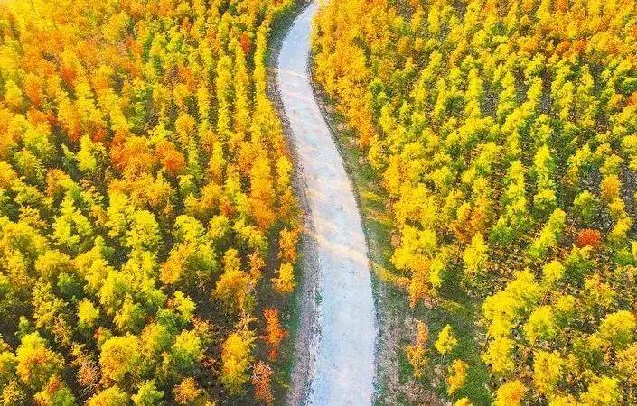 英語嘉賓怎么說_東庵森林公園游玩攻略_tcl怎么安裝騰訊視頻tv版