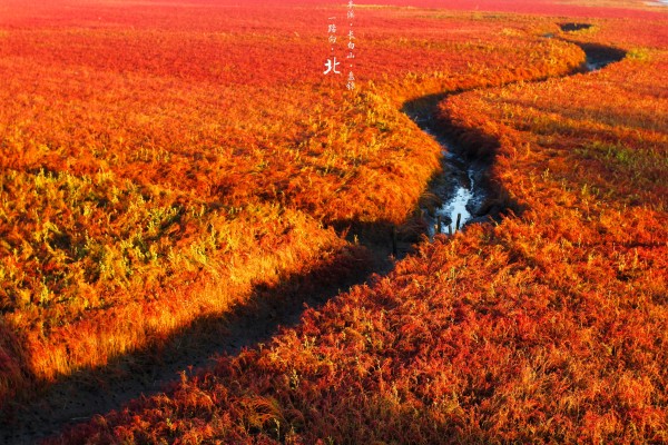 紅海灘周邊住宿_紅海灘住宿攻略_去紅海灘住哪里比較好