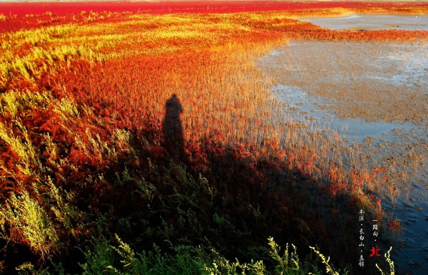 紅海灘住宿攻略_紅海灘周邊住宿_去紅海灘住哪里比較好