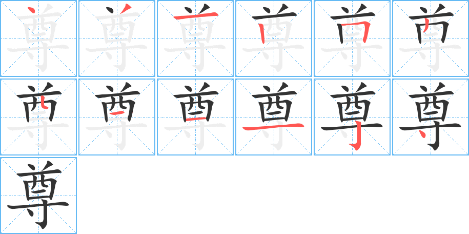 尊的筆順分步演示