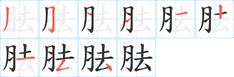 胠的筆順分步演示