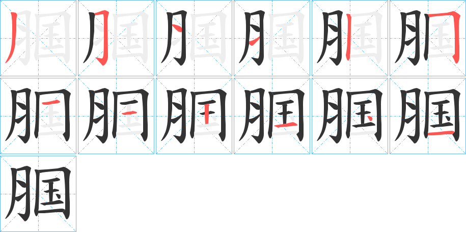 腘的筆順分步演示