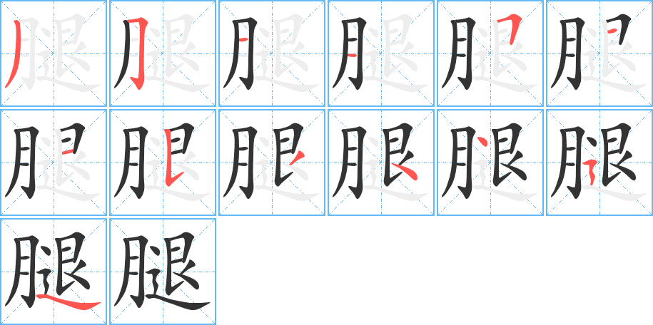 腿的筆順?lè)植窖菔?>
					
                    <hr />
                    <h2>腿的基本信息</h2>
                    <div   id=