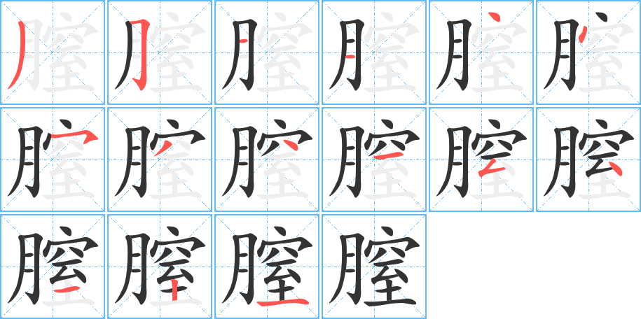 膣的筆順分步演示