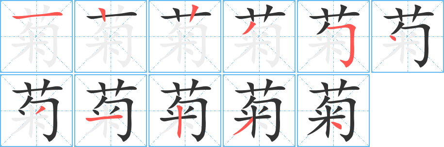 菊的筆順分步演示