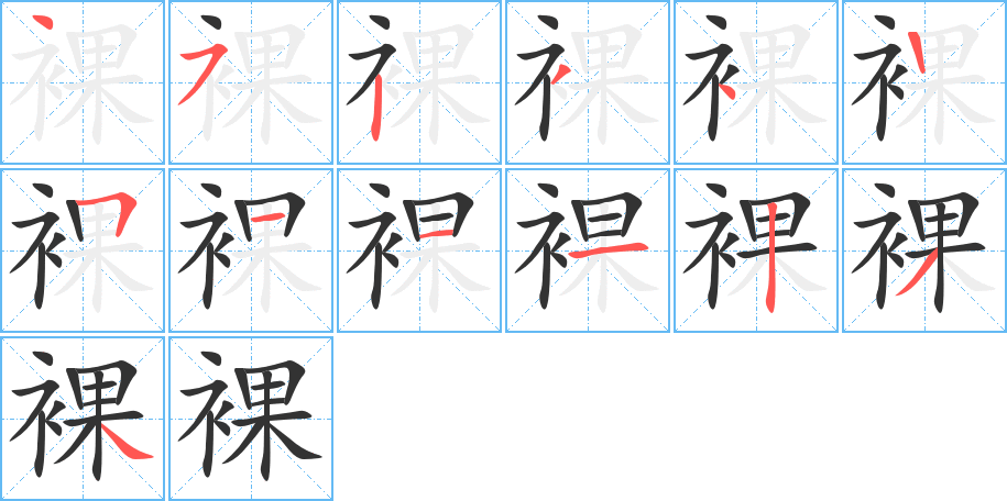 裸的筆順分步演示