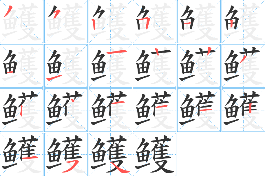 鳠的筆順分步演示